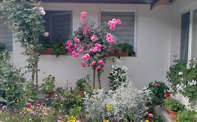Casa Luminita